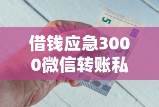 借钱应急3000微信转账私人如何快速解决资金缺口