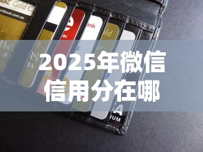 2025年微信信用分在哪借钱？梳理5个黑户下钱的口子