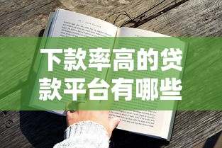 下款率高的贷款平台有哪些？这5家审核快门槛低