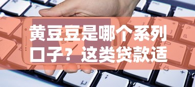 黄豆豆是哪个系列口子？这类贷款适合普通人申请吗