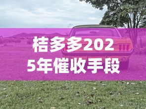 桔多多2025年催收手段升级 这些坑你绕得开吗