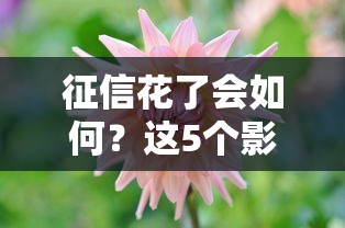 征信花了会如何？这5个影响你可能没想到