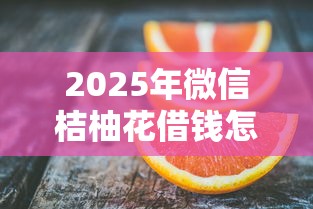 2025年微信桔柚花借钱怎么样，推荐五个好过的贷款平台