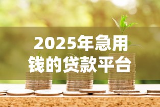 2025年急用钱的贷款平台有哪些，罗列五个5000元贷款平台好
