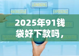 2025年91钱袋好下款吗，整理五个十大可靠的借钱平台