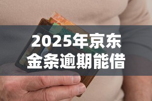 2025年京东金条逾期能借钱吗：推荐五个和摇钱花一样的平台