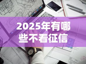 2025年有哪些不看征信的备用金：看看这五个网贷平台门槛低一点的口子