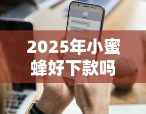 2025年小蜜蜂好下款吗，试试这五个年底还能正常下款的平台