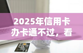 2025年信用卡办卡通不过，看看这五个车贷款平台
