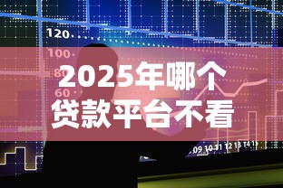 2025年哪个贷款平台不看征信的，整合5个黑户口子找不到下载