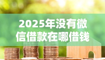 2025年没有微信借款在哪借钱？罗列五个加盟贷款平台做代理