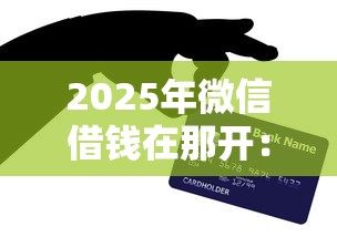2025年微信借钱在那开：看看这5个有信用卡就可以贷款的平台