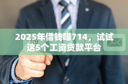 2025年借钱喵714,试试这5个工资贷款平台 2025年借钱喵714,试试这5个工资贷款平台