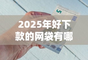 2025年好下款的网袋有哪些：公布五个不看负债查询的口子