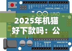 2025年机猫好下款吗：公布五个无视一切必下款的口子