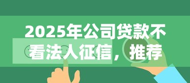 2025年公司贷款不看法人征信，推荐5个花户必下的平台100%通过率