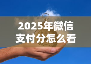 2025年微信支付分怎么看额度多少:试试这5个有没有当前逾期能下款的口子 2025年微信支付分怎么看额度多少:试试这5个有没有当前逾期能下款的口子