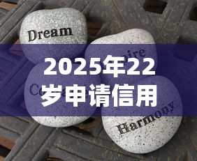2025年22岁申请信用卡总被拒，分享5个有借款平台好借钱