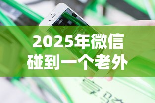 2025年微信碰到一个老外借钱，分享五个不看负债查询的口子