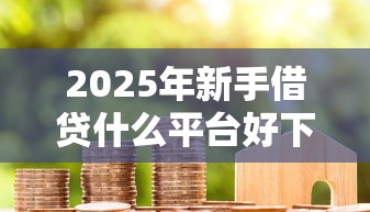 2025年新手借贷什么平台好下款，看看这五个医美贷款平台