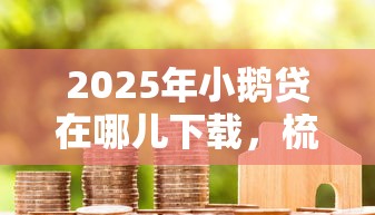 2025年小鹅贷在哪儿下载，梳理5个利息比较低的贷款平台