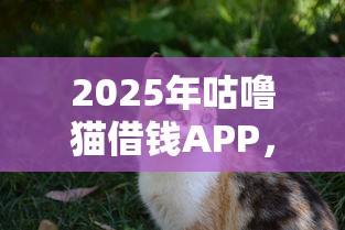 2025年咕噜猫借钱APP，分享5个能百分百通过的网贷平台