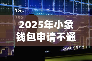 2025年小象钱包申请不通过，整合五个苹果贷款平台