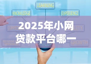 2025年小网贷款平台哪一个好借钱可靠，公布五个芝麻分700能秒下的app