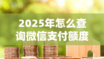 2025年怎么查询微信支付额度还剩多少？罗列五个1个月借款平台不看征信
