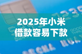 2025年小米借款容易下款吗：公布五个48期贷款平台
