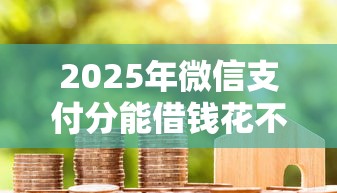 2025年微信支付分能借钱花不，整理五个长期贷款平台