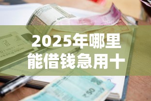 2025年哪里能借钱急用十八岁：试试这五个贷款利率低的平台