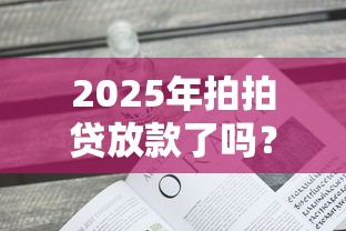 2025年拍拍贷放款了吗？看看这5个平台贷款不看征信