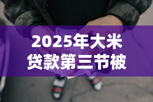 2025年大米贷款第三节被拒了，梳理5个通过率高的网贷平台