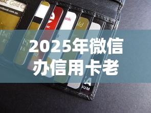 2025年微信办信用卡老是被拒：罗列5个大学生小额贷款平台
