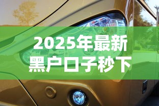 2025年最新黑户口子秒下，推荐5个黑户下款的口子