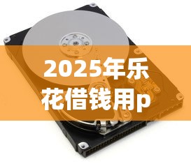 2025年乐花借钱用pos机：看看这五个申请频繁被风控能下的口子