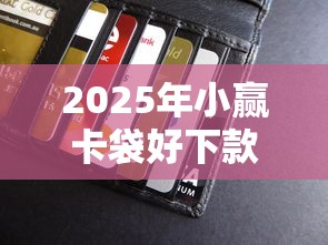 2025年小赢卡袋好下款吗，公布5个贷款平台