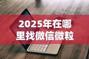 2025年每次微信联系都是借钱：试试这五个半夜秒下款的高炮口子