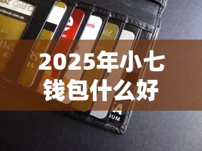 2025年小七钱包什么好下款，罗列五个平台能贷款