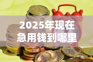 2025年现在急用钱到哪里借钱？分享五个正规贷款公司平台