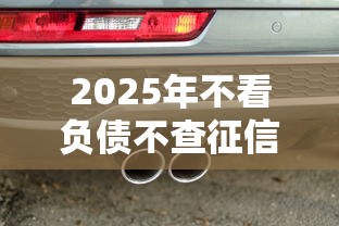 2025年不看负债不查征信？罗列5个车抵押贷款平台