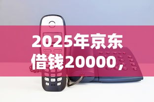 2025年京东借钱20000，公布5个大老黑能下款的口子