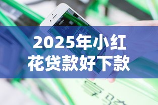 2025年小红花贷款好下款吗安全吗：分享五个通过率高不看征信的贷款平台