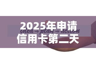 2025年申请信用卡第二天被拒？看看这5个专业贷款平台