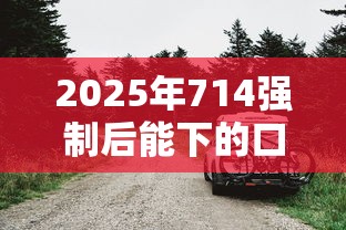 2025年714强制后能下的口子，公布五个车子抵押贷款平台