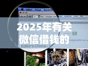 2025年有关微信借钱的抖音账号，看看这5个退休人员贷款平台