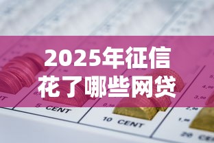 2025年征信花了哪些网贷还能借到钱，试试这五个贷款平台网