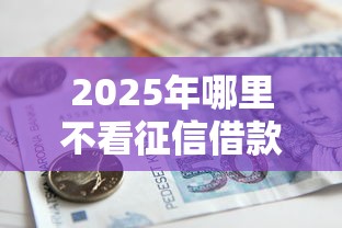 2025年哪里不看征信借款，公布5个厦门贷款平台