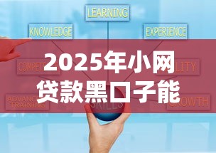 2025年小网贷款黑口子能下款吗安全吗？公布五个网上贷款平台好下款